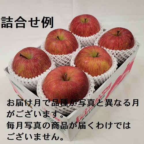 赤いりんごシリーズ 家庭用 6コ詰 8ヶ月コース 8Z