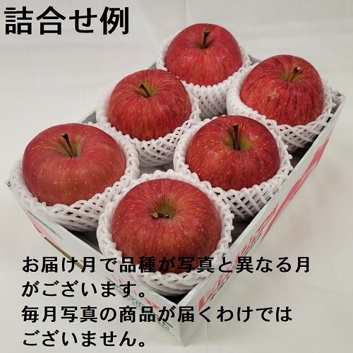 赤いりんごシリーズ 高級 6コ詰 4ヶ月コース 4Y