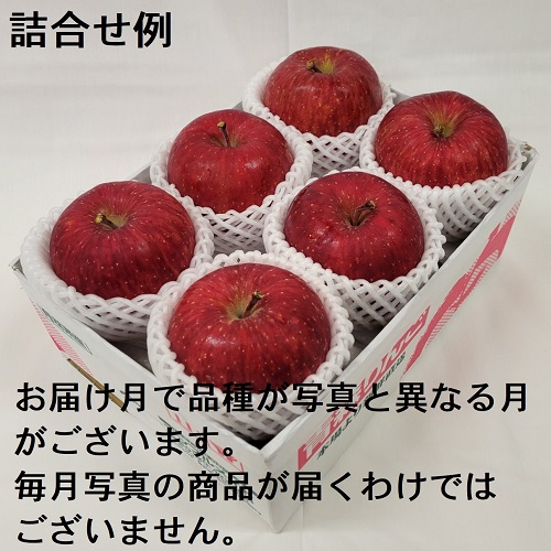 赤いりんごシリーズ 贈答用 6コ詰 8ヶ月コース 8X