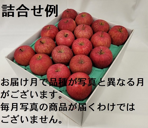 赤いりんごシリーズ 家庭用 10Kg詰 4ヶ月コース 4I