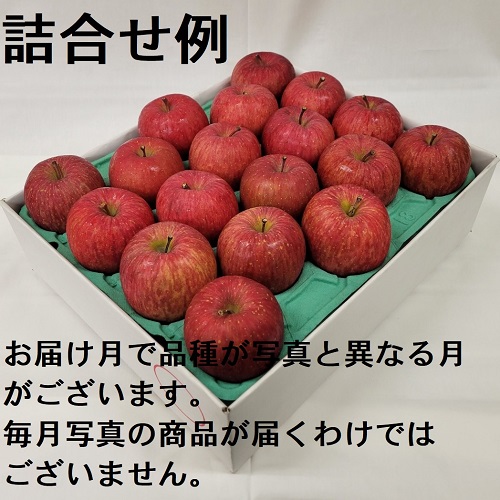 赤いりんごシリーズ 家庭用 5Kg詰 8ヶ月コース 8F