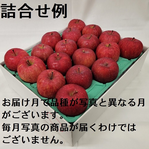 赤いりんごシリーズ 贈答用 5Kg詰 11ヶ月コース 11D