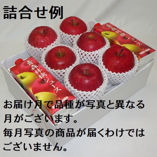 赤いりんごシリーズ 贈答用 Sセット 4ヶ月コース 4J