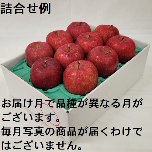 赤いりんごシリーズ 贈答用 3Kg詰 6ヶ月コース 6A