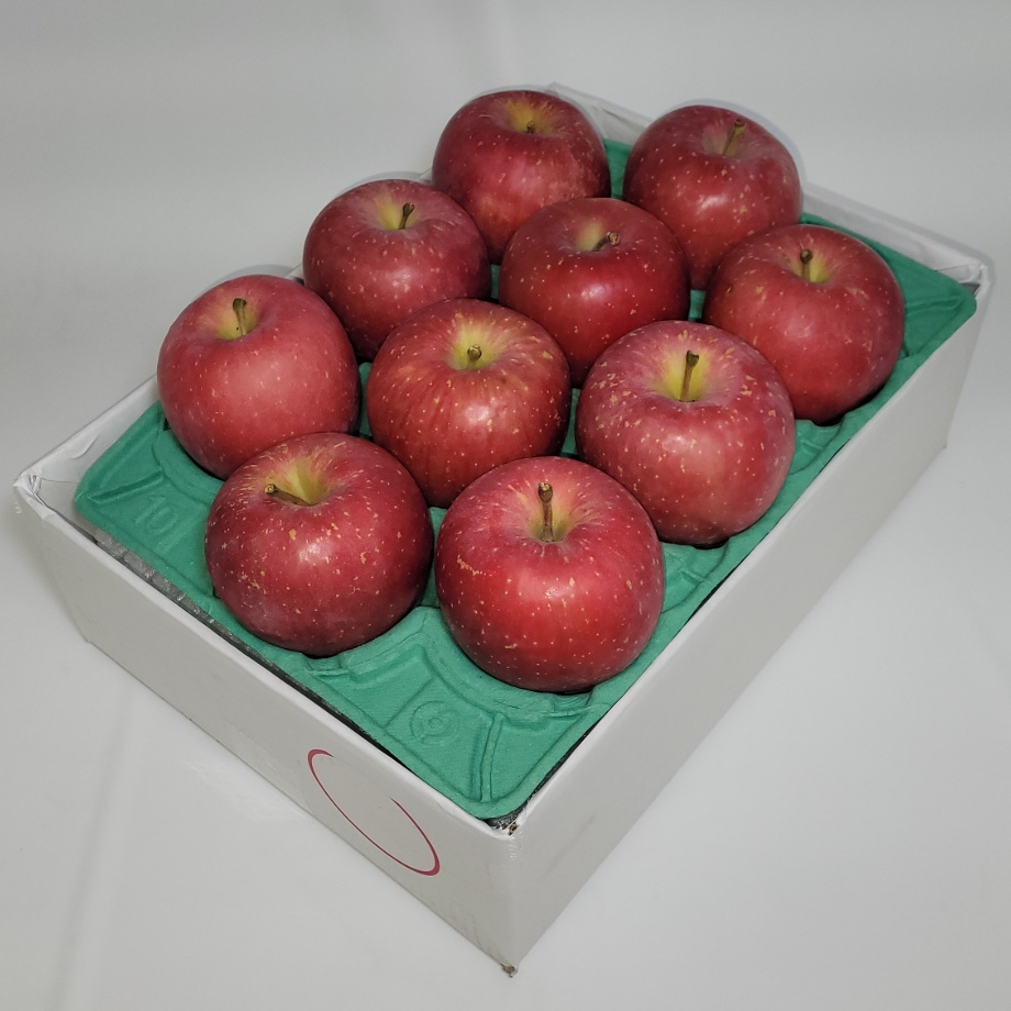 青森りんご*贈答用　早生ふじ　3K*送料込