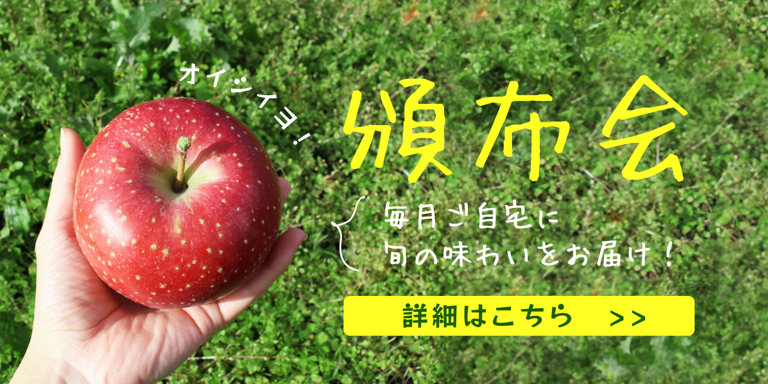 贅沢りんご　王林　160g缶×24本入　通販　青森県りんごジュース　シャイニー
